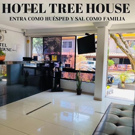 Hotel Tree House Medellín Dış mekan fotoğraf
